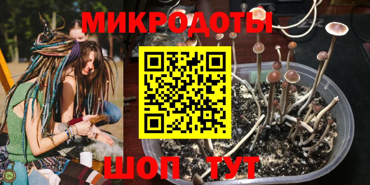 Псилоцибиновые грибы ЛСД  Вход с VPN  Галлюциногенные грибы прущие грибы  Ревда 